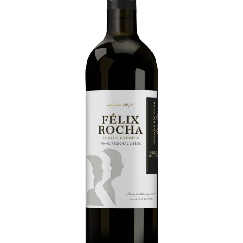 Felix-Rocha-Grande-Escolha-scaled-1